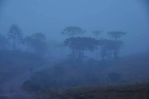 Correndo num fim de tarde fantasmagórico nos campos de altitude, na região de São José dos Ausentes - RS